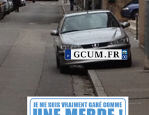 image-b9dfc6a28d72442dd61d6e88cef466dfe4c0020d